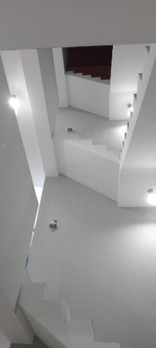 palomino-huamani-3 (1)